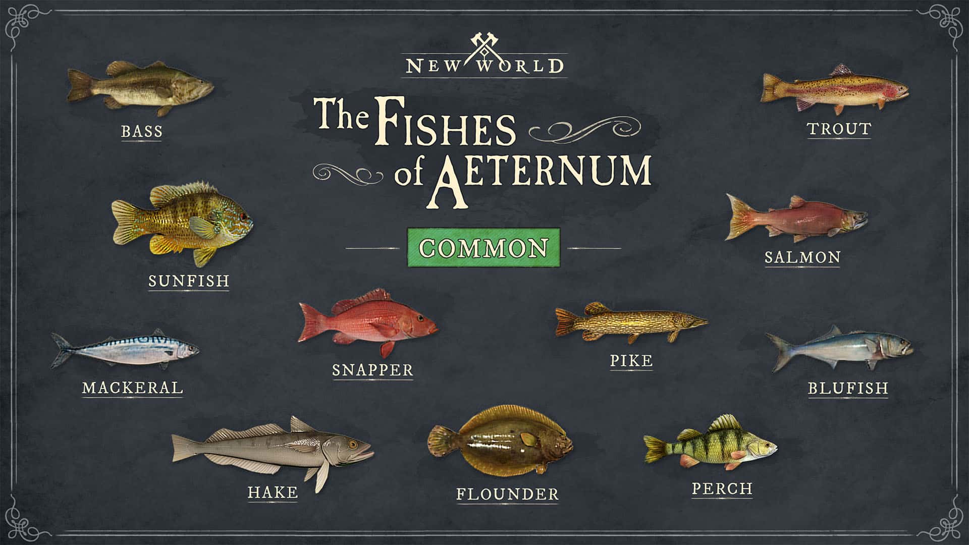 common fish in new world